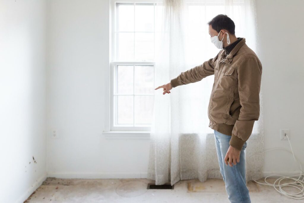 What to Do When Mold Strikes Unexpectedly?