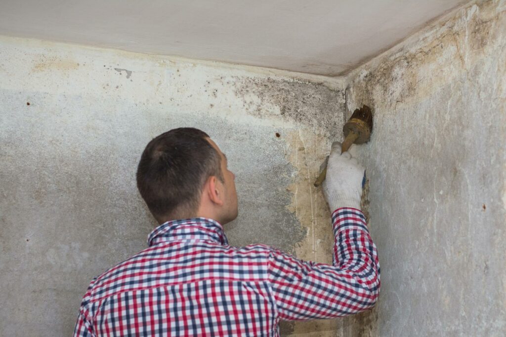 What Does a Detailed Mold Assessment Involve?