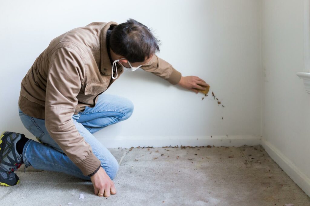 How to Choose Mold Testing Services for Your Home