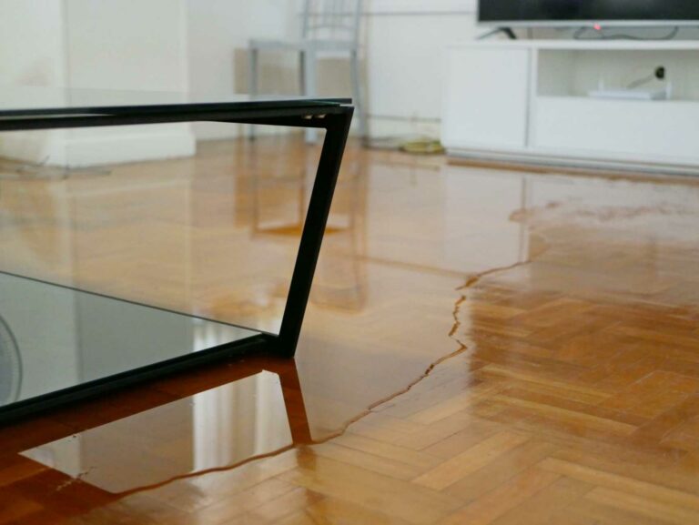 Why Choose 24/7 Water Damage Restoration Services?