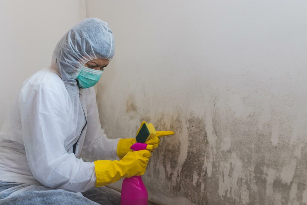 10 Best Mold Testing Services for Home