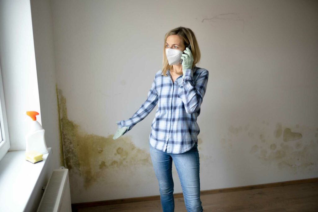 What Sets Professional Mold Damage Restoration Experts Apart?