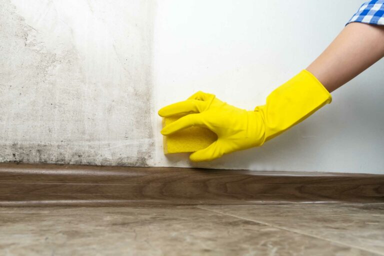 Top 10 Tips for Mold Remediation Specialists