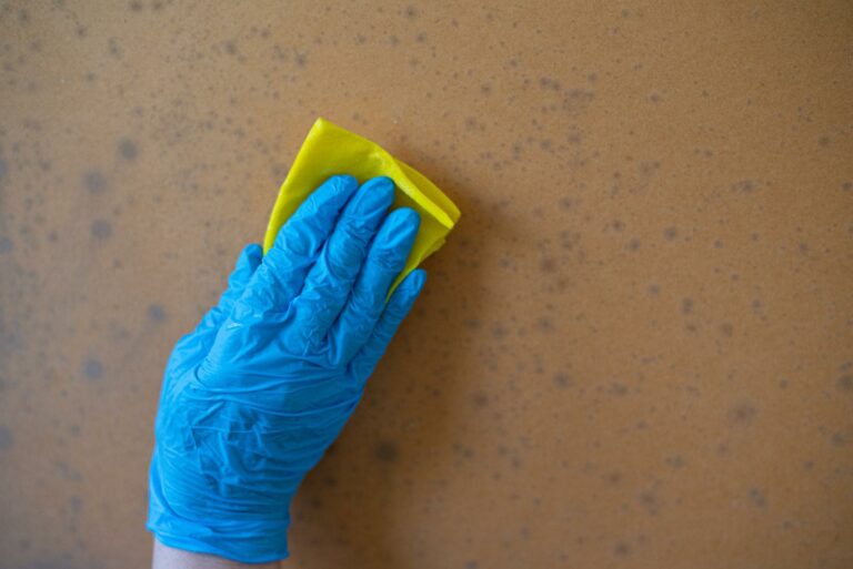 Top Tips for Rapid Mold Removal