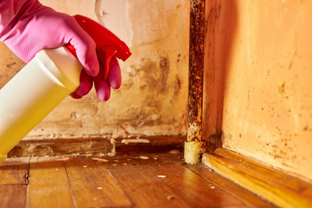 Top Tips for Quick Water Damage Restoration