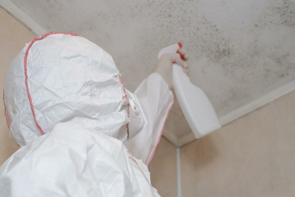 Top 10 Rapid Mold Removal Techniques for Homeowners