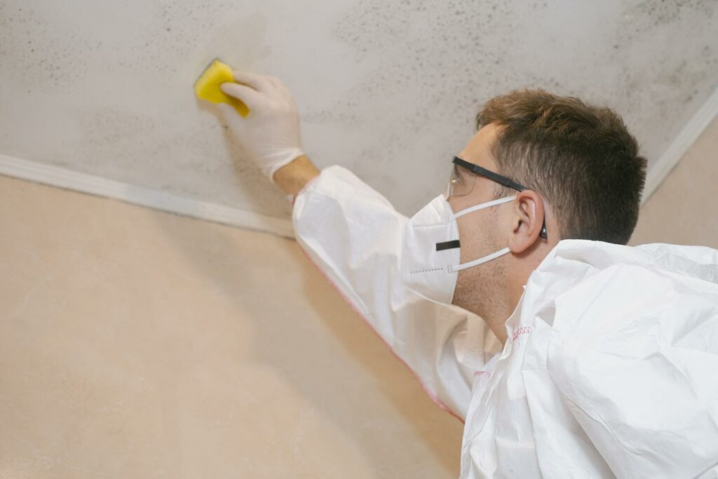 Quick Tips for Mold Removal Near Me