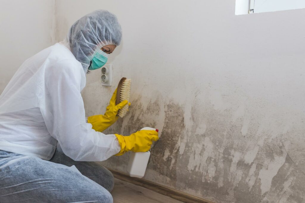 7 Essential Mold Remediation Techniques