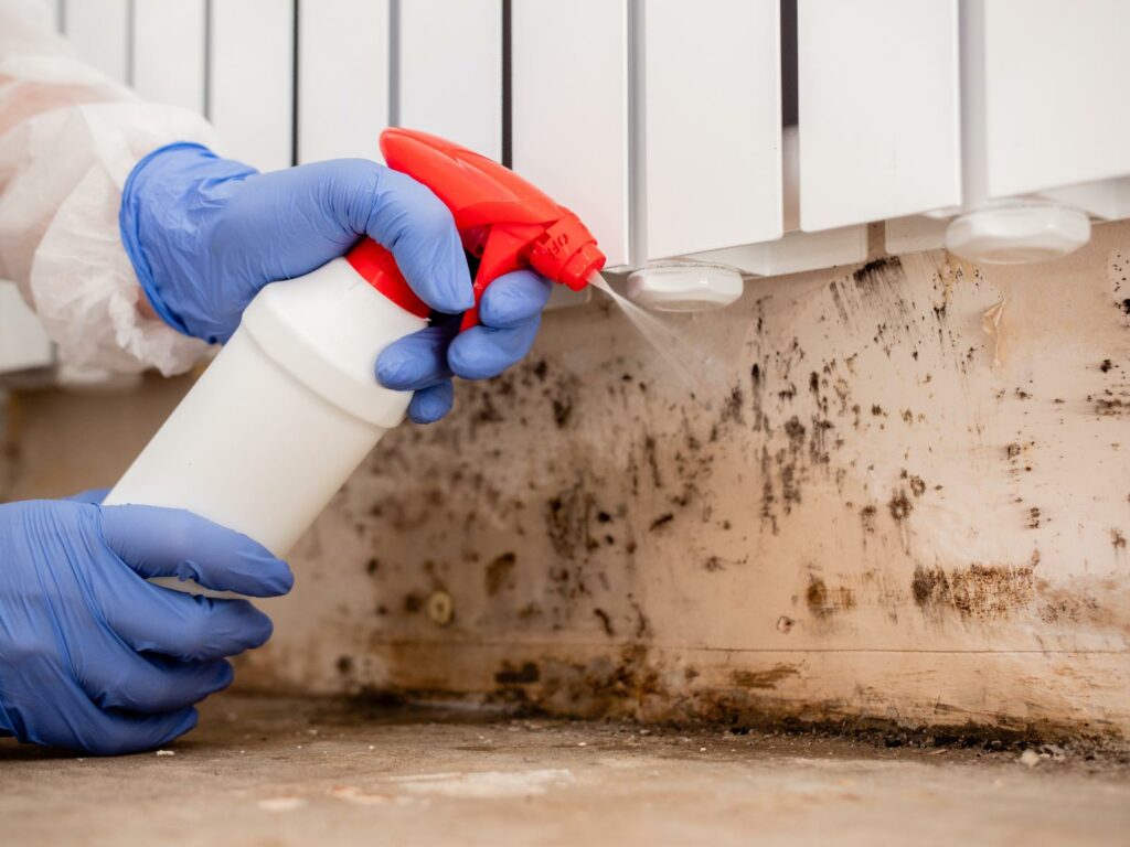 Quick and Easy Mold Remediation Guide