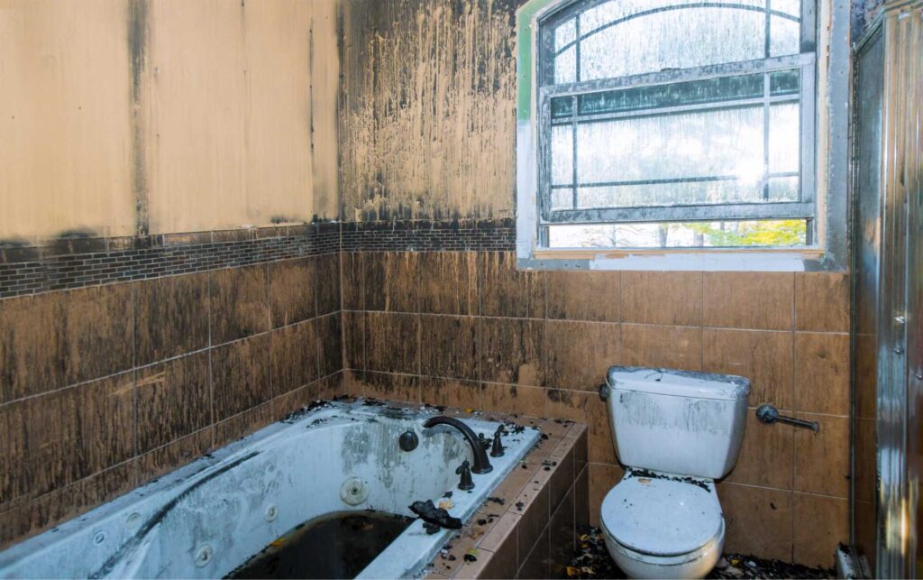 Why Choose Professional Water Damage Restoration After Fire?