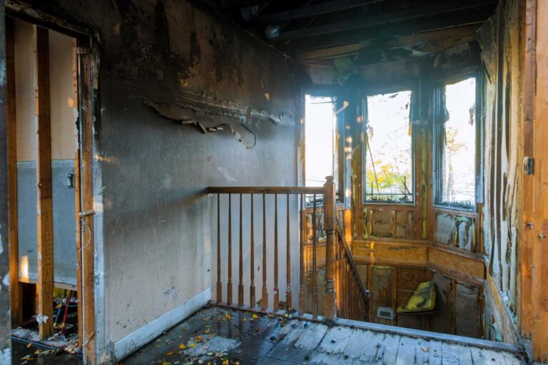 Top 10 Mold Remediation Techniques Post-Fire