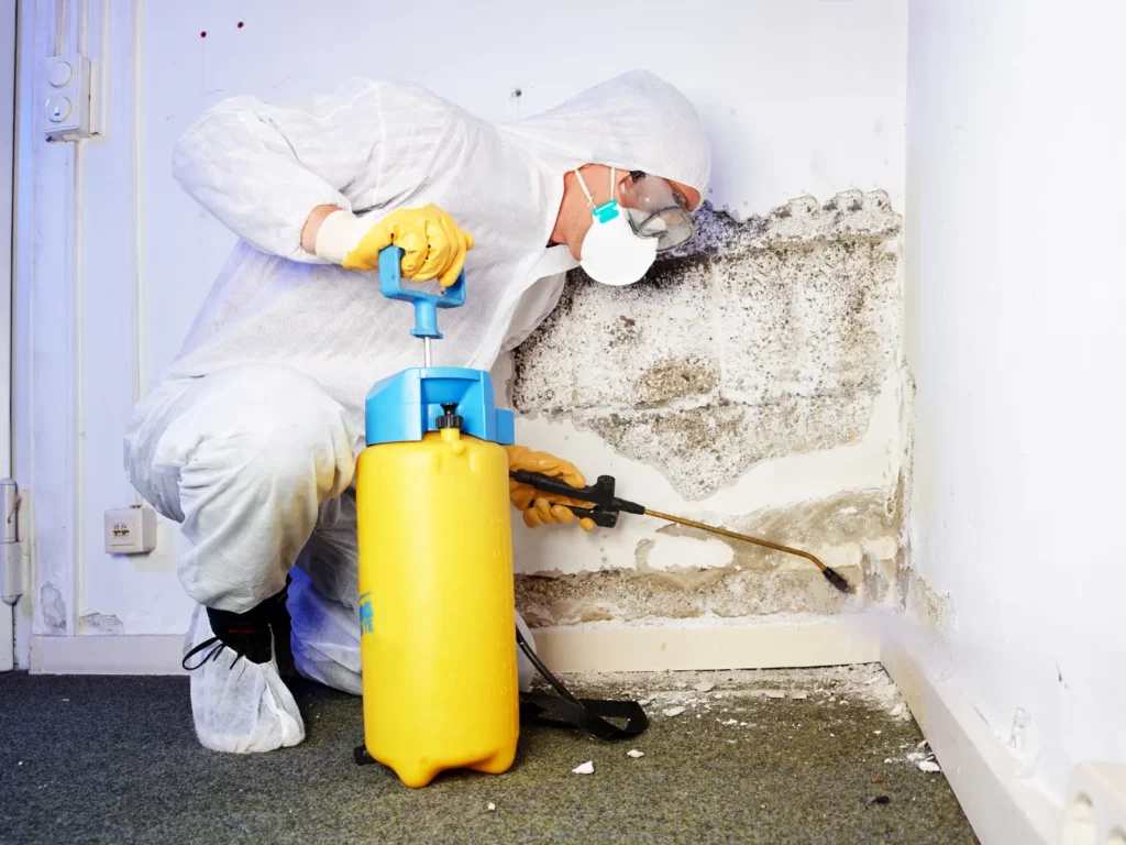 Ash Cleaning. professional treating-mold on wall