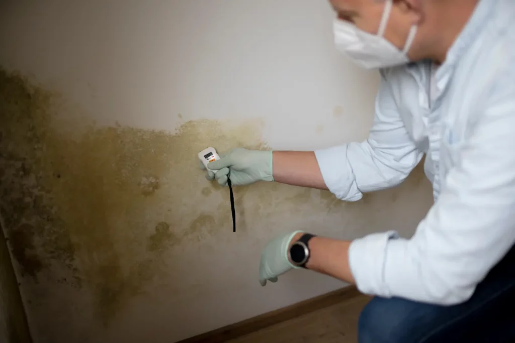 Mold After Water Damage. professional with testing equipment over moldy wall