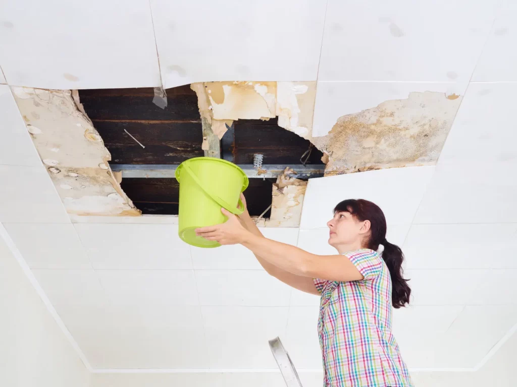 A woman, standing on a ladder, holding a green bucket to the ceiling. There is water damage and a large hole in the ceiling.